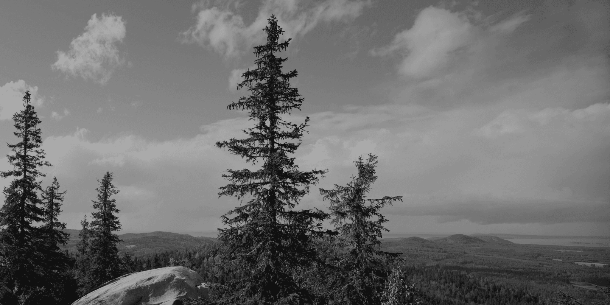 Tukes Akatemia Asiantuntijoiden Viestint osaamisen Kehitt misen 