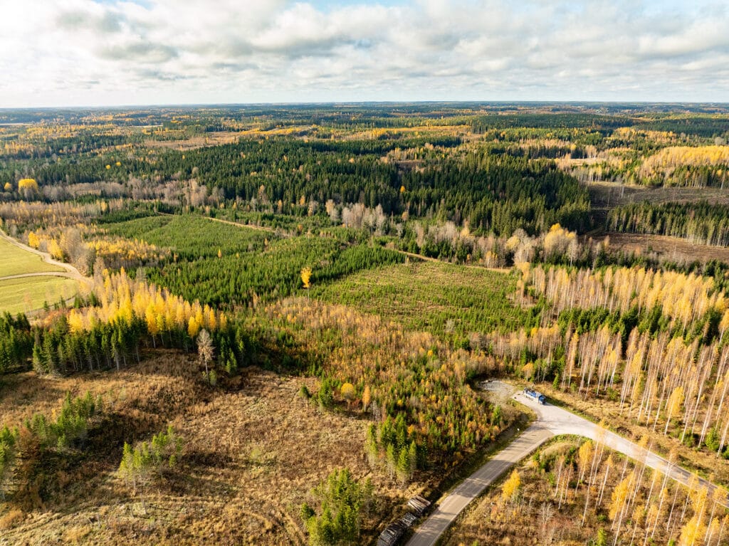 Ilmakuva laajasta metsäalueesta syksyisessä maisemassa, jossa näkyy eri-ikäisiä puustovyöhykkeitä, avohakkuualuetta ja istutusmetsää. Kuvan oikeassa alakulmassa kulkee mutkitteleva asfaltoitu tie, jonka varrella näkyy sininen työmaakontti ja puutavarakasoja. Maisemaa hallitsevat vihreät ja keltaiset sävyt, ja horisontissa näkyy laajoja metsävyöhykkeitä pilvistä taivasta vasten.